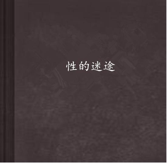 官场性途最新章节揭秘，探索与启示之路