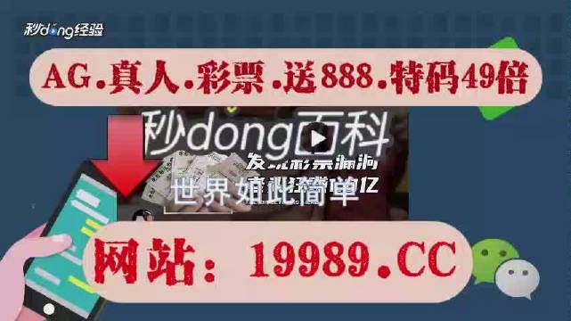 2024澳门今晚开奖号码,动态词语解释落实_标准版1.292