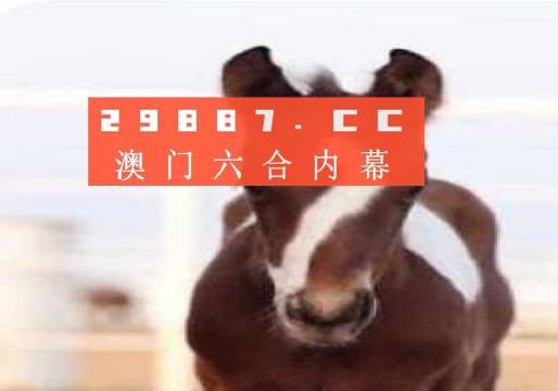 澳门一肖一码100准免费,实效策略解析_定制版80.101