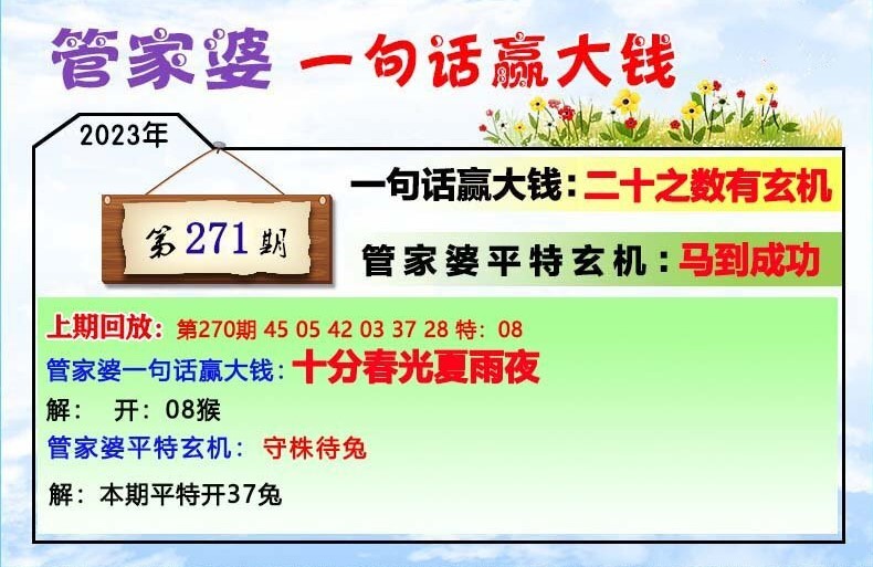 202管家婆一肖一码,跨领解答解释落实_单人版74.816