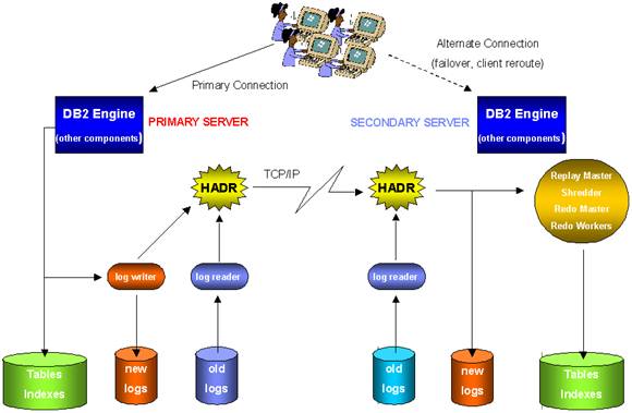 2024新澳免费资料大全,供应链执行落实解答_25.791