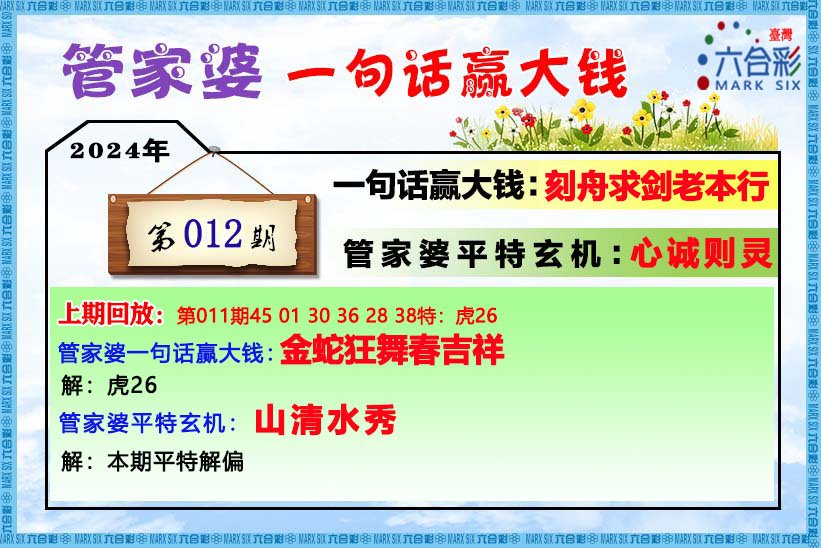 2o24年管家婆一肖中特,精准步骤实施计划_游戏集13.041