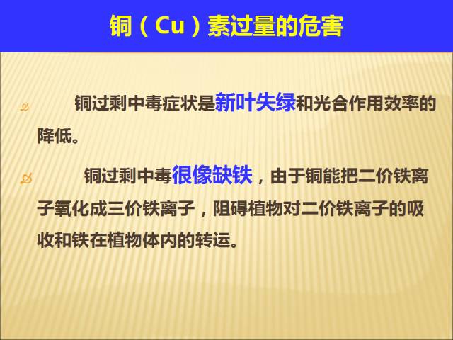 24年新澳彩资料免费长期公开,科学解释落实原则_调控集96.015