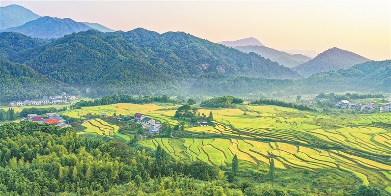 奉新县上富镇新任镇长，杰出领导者引领地方发展之路