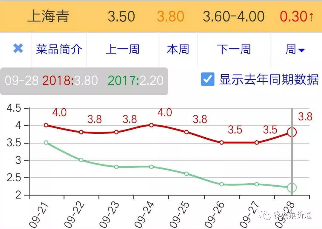 2024年11月11日 第5页