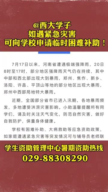 河南油补最新信息详解，政策解读与补贴细节揭秘