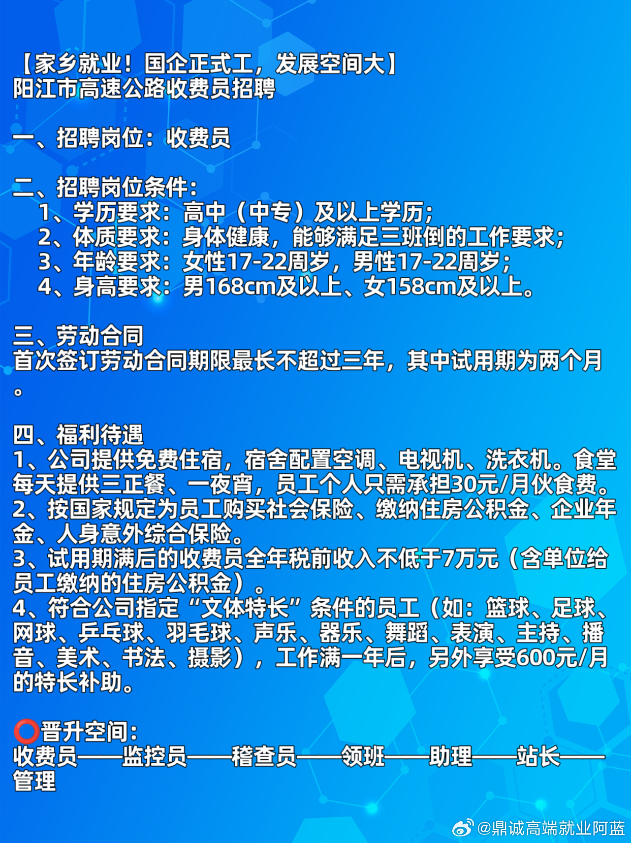 2024年11月14日 第16页