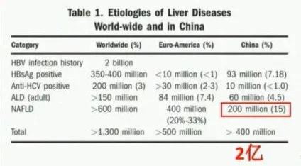 最新肝病指南，关键策略助你理解、预防与应对肝病