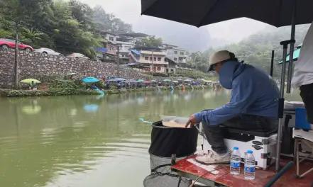 小湾钓鱼，最新动态与垂钓体验分享