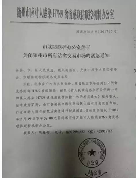 泰安禽流感最新动态，全面防控与积极应对