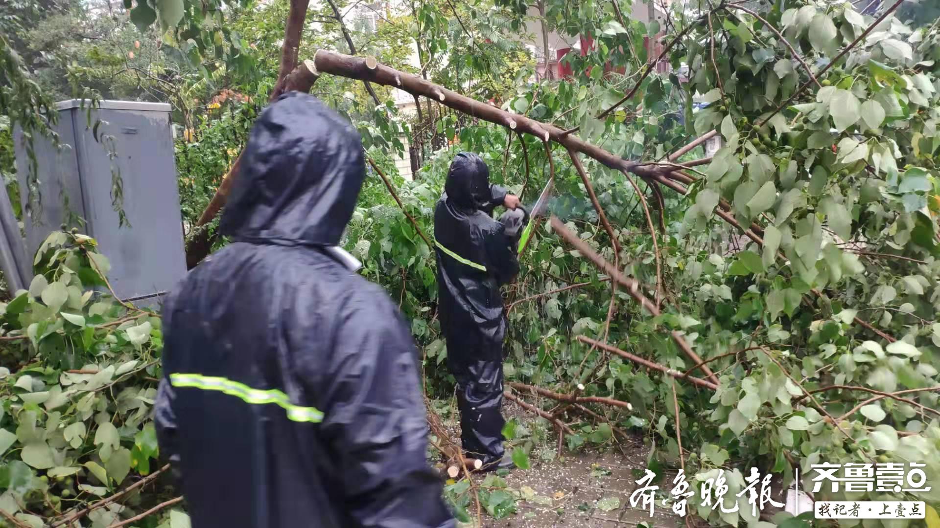 槐荫区应急管理局未来发展规划概览