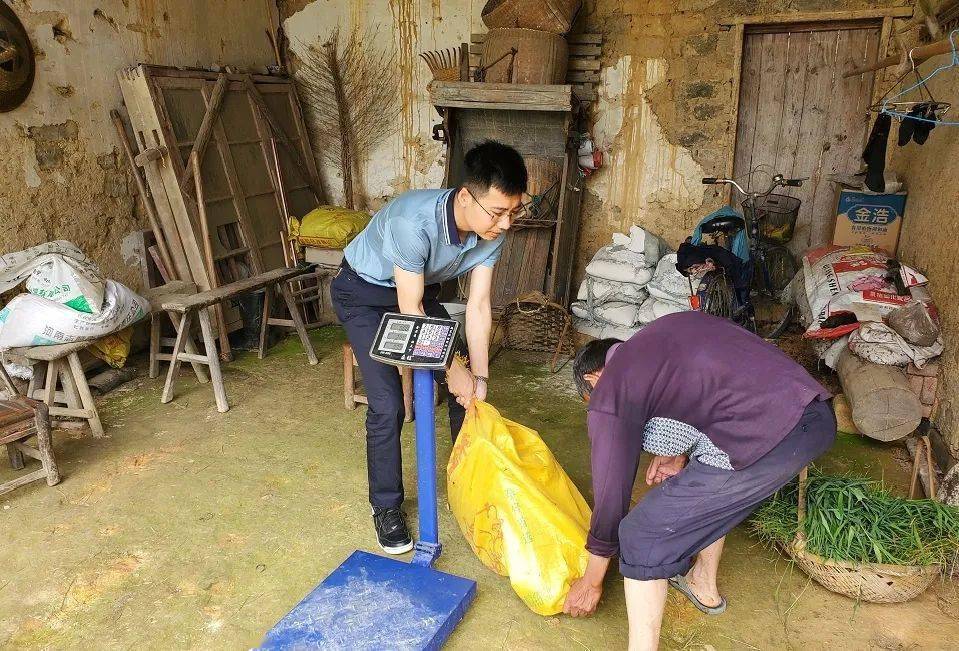 新沙村领导，乡村振兴杰出典范引领者