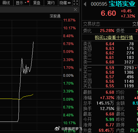 宝实股份最新动态全面解读