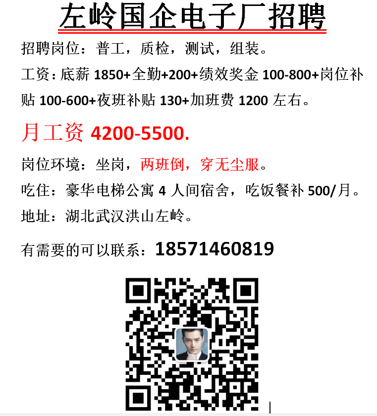 武汉电子厂技术人才集结，迈向未来的招聘启事