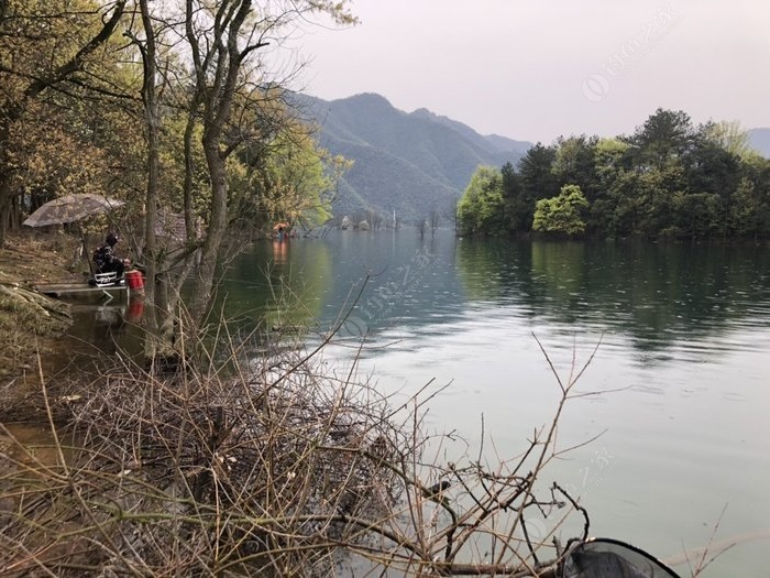 太平湖钓鱼，最新体验分享与钓鱼新发现