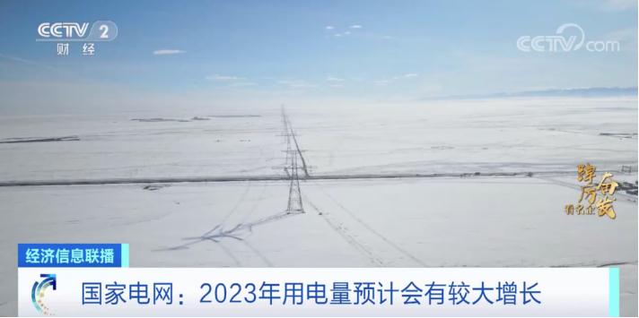 如松之立，见证岁月变迁，2023年观察与思考新篇章