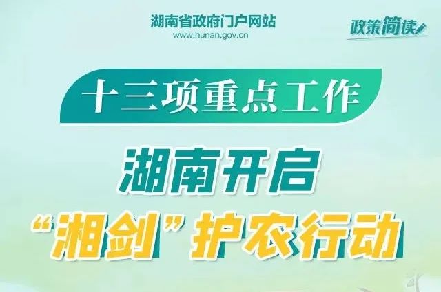 星子招聘网最新招聘，职业发展无限可能探索