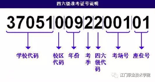 澳门六开奖结果今天开奖记录查询,全面理解解答解释计划_标配版28.927