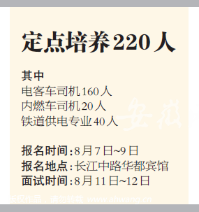 合肥最新司机招聘信息及相关细节概览