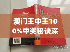 澳门王中王100,安全评估策略_网页款41.363