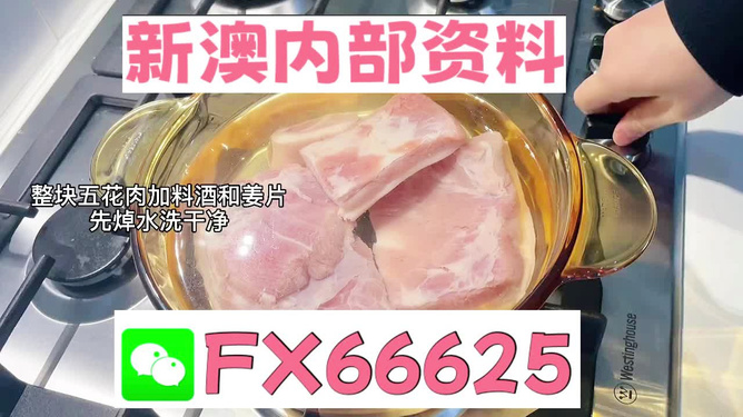 新澳门一码一码100准确,动态词汇解析_X版32.704