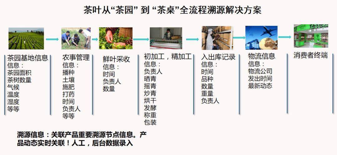 澳门一码一码100准确,全局性策略实施协调_工具版37.914