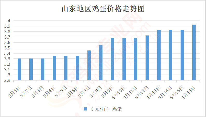 山东鸡蛋价格最新行情分析