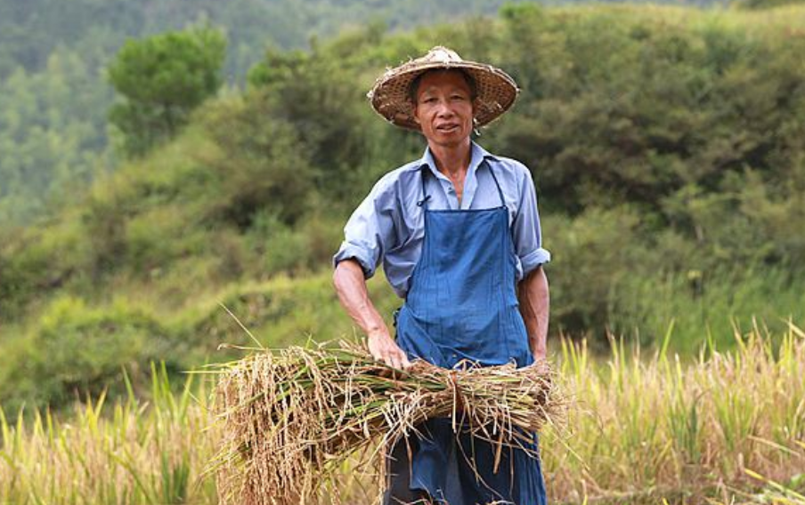 致敬辛勤劳动者，农民伯伯全集在线播放影像记忆