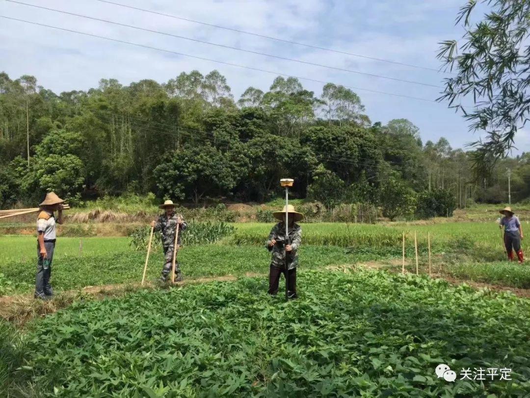 玉茂一级路最新进展报告概览