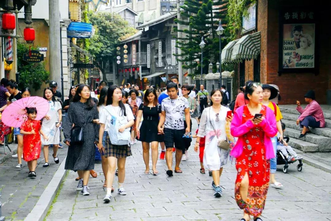 泰迪熊完整版在线观看，友情与成长的温馨之旅