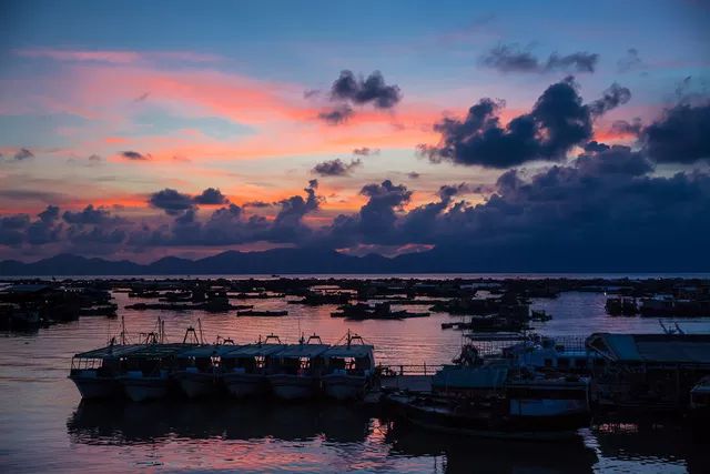 临洛夕照，历史与文化的交融之美在线阅读