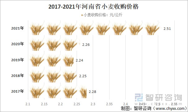 今日小麦价格走势，市场动态及未来趋势分析