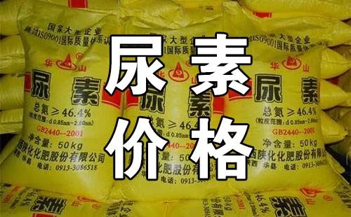 山东复合肥最新价格走势及动态分析